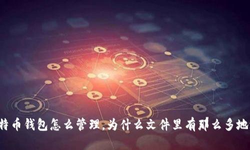 比特币钱包怎么管理，为什么文件里有那么多地址？