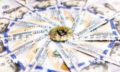   如何将屎币放入钱包中？