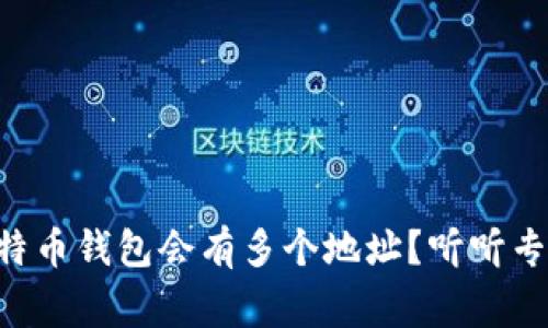 为什么比特币钱包会有多个地址？听听专家怎么说！