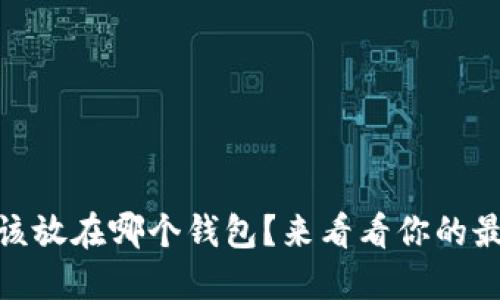 USDT应该放在哪个钱包？来看看你的最佳选择！