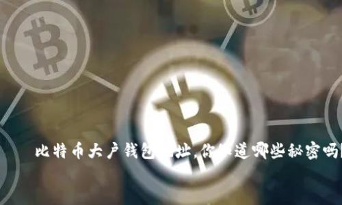 

    比特币大户钱包地址，你知道哪些秘密吗？


    比特币大户钱包地址，你知道哪些秘密吗？