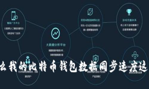 为什么我的比特币钱包数据同步速度这么慢？