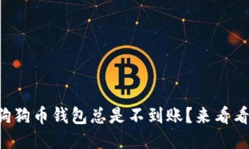 为什么我的狗狗币钱包总是不到账？来看看这些原因吧！