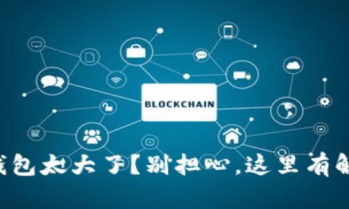 比特币钱包太大了？别担心，这里有解决方案！