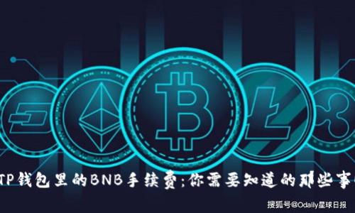 TP钱包里的BNB手续费：你需要知道的那些事！