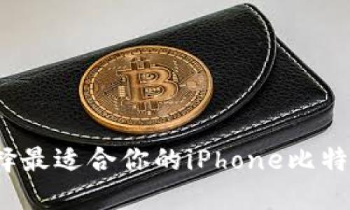 如何选择最适合你的iPhone比特币钱包？