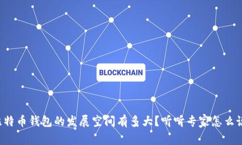 比特币钱包的发展空间有多大？听听专家怎么说！