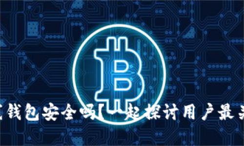 比特币在线钱包安全吗？一起探讨用户最关心的问题！