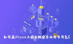 如何在iPhone上安全地安装
