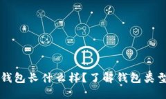 比特币钱包长什么样？了