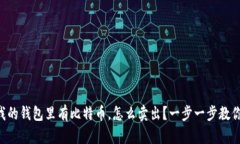 “我的钱包里有比特币，