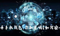 最早的比特币手机钱包：