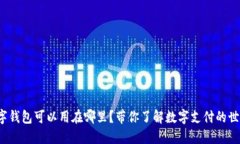 数字钱包可以用在哪里？