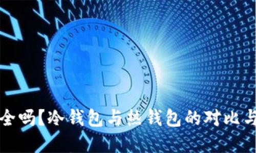 TP钱包安全吗？冷钱包与热钱包的对比与选择指南