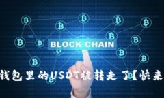 为什么我的TP钱包里的US