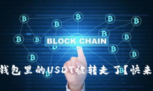 为什么我的TP钱包里的USDT被转走了？快来看看常见原因！