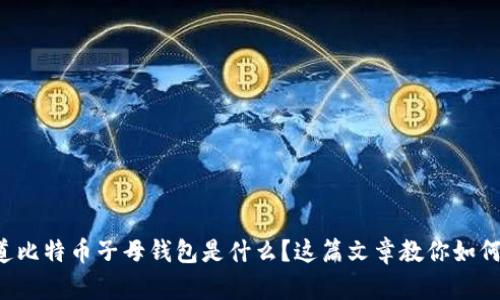 想知道比特币子母钱包是什么？这篇文章教你如何使用！
