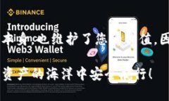   如何解决TP钱包没有密码