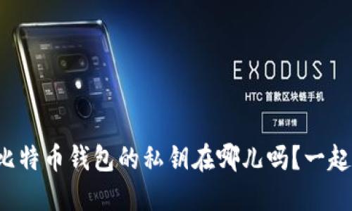 你知道比特币钱包的私钥在哪儿吗？一起聊聊吧！