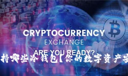 SHIB支持哪些冷钱包？你的数字资产安全指南