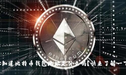 你知道比特币钱包地址是什么吗？快来了解一下！