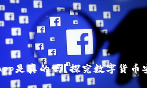 泰达币钱包App是真的吗？探究数字货币安全与可靠性