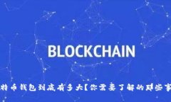 比特币钱包到底有多大？