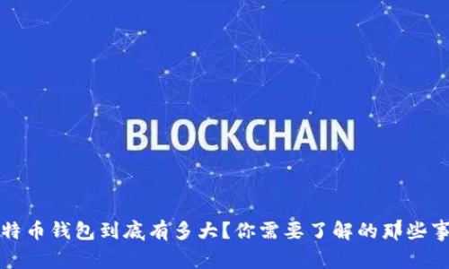 比特币钱包到底有多大？你需要了解的那些事儿