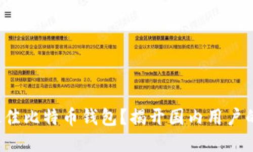 如何选择最佳比特币钱包？揭开国内用户的使用秘笈！