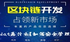 比特币钱包文件.dat是什么