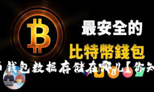 比特币钱包数据存储在哪儿？你知道吗？