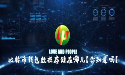 比特币钱包数据存储在哪儿？你知道吗？