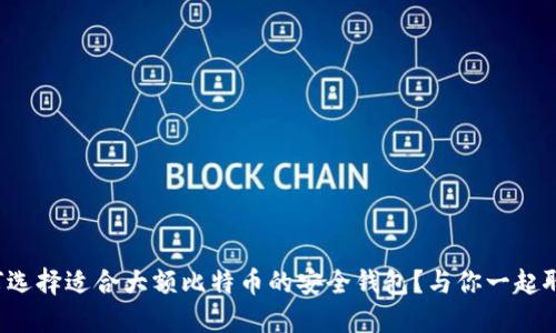 如何选择适合大额比特币的安全钱包？与你一起聊聊！