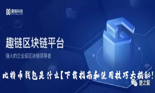 比特币钱包是什么？下载指南和使用技巧大揭秘!