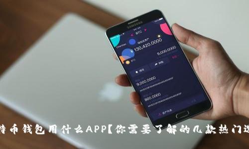 比特币钱包用什么APP？你需要了解的几款热门选择