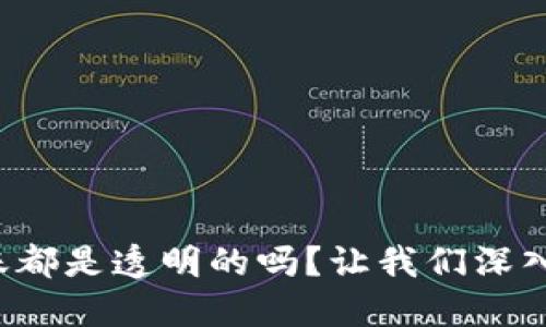 TP钱包转账都是透明的吗？让我们深入探讨一下！