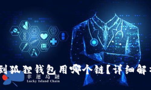 USDT提到狐狸钱包用哪个链？详细解析与指南