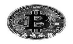 如何选择适合你的狗狗币