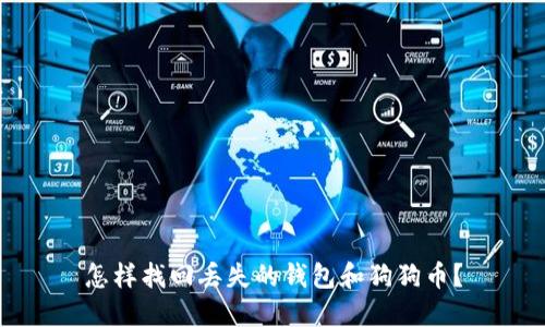 怎样找回丢失的钱包和狗狗币？