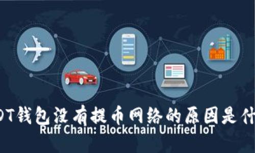 USDT钱包没有提币网络的原因是什么？