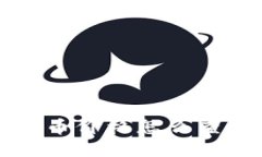 TP钱包里的代币价格怎么查