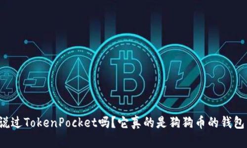 你听说过TokenPocket吗？它真的是狗狗币的钱包首选！