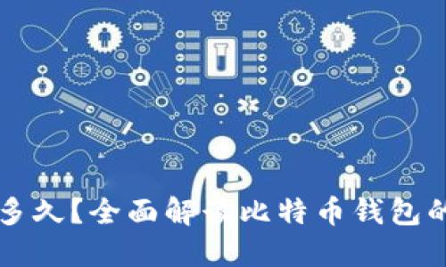 比特币钱包更新需要多久？全面解读比特币钱包的更新周期与影响因素