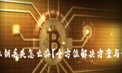 TP钱包私钥丢失怎么办？全方位解决方案与预防技巧