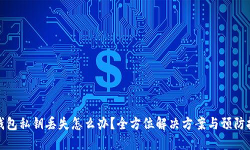 TP钱包私钥丢失怎么办？全方位解决方案与预防技巧