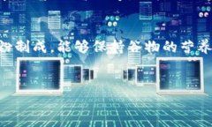   TP钱包面包与薄饼的美味