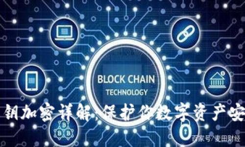 TP钱包私钥加密详解：保护你数字资产安全的方法