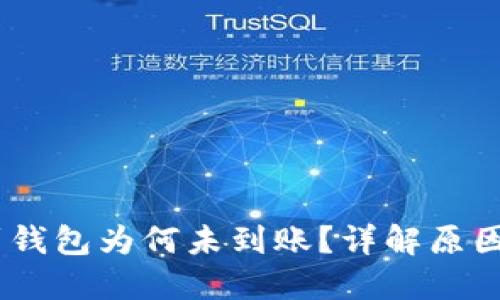 USDT提币到钱包为何未到账？详解原因及解决方案