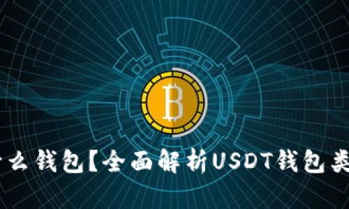 : USDT属于什么钱包？全面解析USDT钱包类型及选择指南