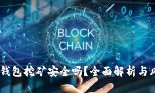 USDT放钱包挖矿安全吗？全面解析与风险评估